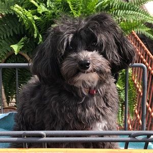 Meet your Posher, Sandra